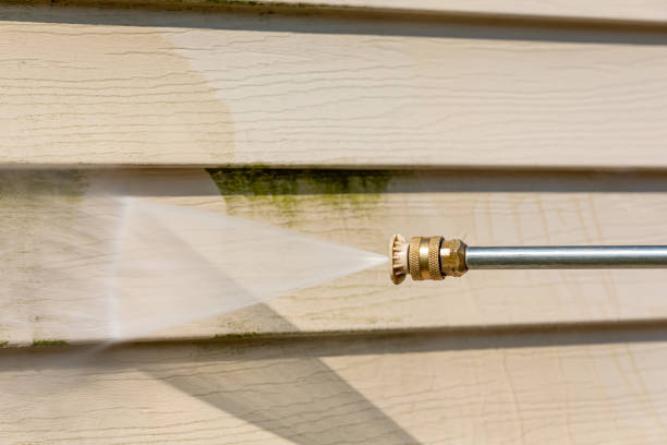 Best Roof Pressure Washing  in Brewer, ME